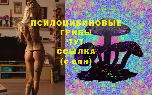 мдпв Белокуриха