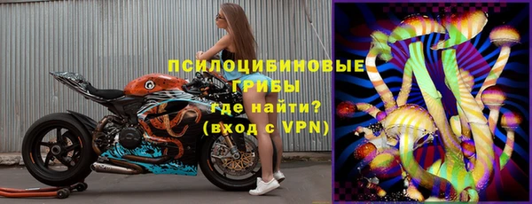 мдпв Белокуриха