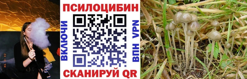 Галлюциногенные грибы Cubensis  наркота  Воркута 